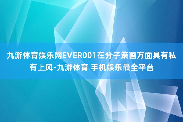 九游体育娱乐网EVER001在分子策画方面具有私有上风-九游体育 手机娱乐最全平台