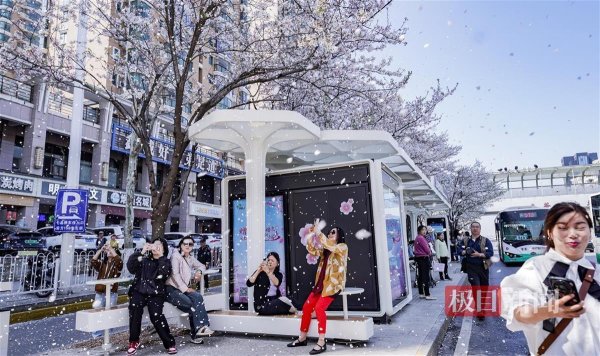 现金九游体育app平台新颖的站台与蜂涌着站台的粉白如霞的樱花情味横生-九游体育 手机娱乐最全平台